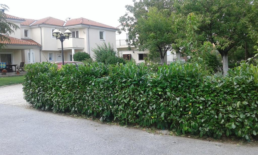 Apartment Casa Eni Drazice Exterior photo